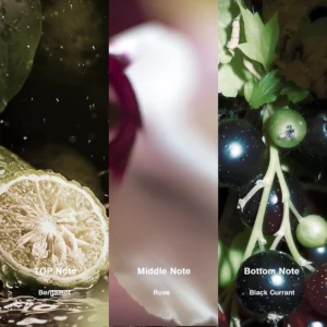 Affordable Luxury Perfumes Inspired by Designer Scents | IMIXX Perfume 131 02aa