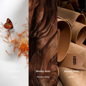 Affordable Luxury Perfumes Inspired by Designer Scents | IMIXX Perfume 97 03AA