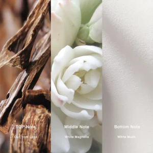 Affordable Luxury Perfumes Inspired by Designer Scents | IMIXX Perfume 109 05aa