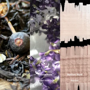 Affordable Luxury Perfumes Inspired by Designer Scents | IMIXX Perfume 51 10aa