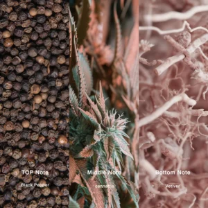 Affordable Luxury Perfumes Inspired by Designer Scents | IMIXX Perfume 127 11aa