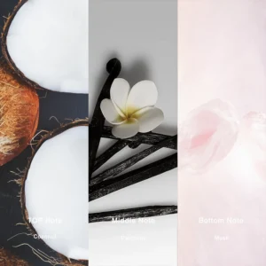 Affordable Luxury Perfumes Inspired by Designer Scents | IMIXX Perfume 99 12aa