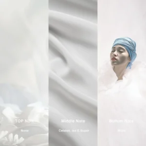 Affordable Luxury Perfumes Inspired by Designer Scents | IMIXX Perfume 55 15aa