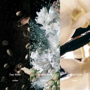 Affordable Luxury Perfumes Inspired by Designer Scents | IMIXX Perfume 37 16aa