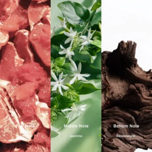 Affordable Luxury Perfumes Inspired by Designer Scents | IMIXX Perfume 11 17aa