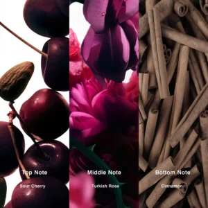 Affordable Luxury Perfumes Inspired by Designer Scents | IMIXX Perfume 69 18aa