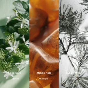 Affordable Luxury Perfumes Inspired by Designer Scents | IMIXX Perfume 101 19aa