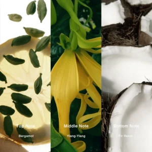 Affordable Luxury Perfumes Inspired by Designer Scents | IMIXX Perfume 91 20aa