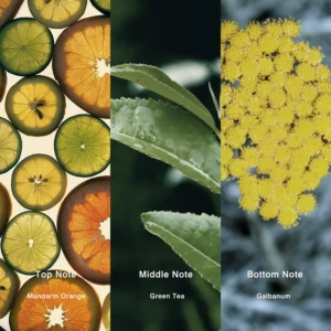 Affordable Luxury Perfumes Inspired by Designer Scents | IMIXX Perfume 77 22aa