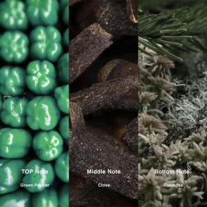 Affordable Luxury Perfumes Inspired by Designer Scents | IMIXX Perfume 123 24aa