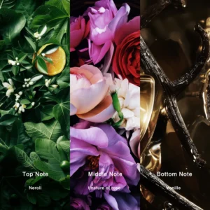 Affordable Luxury Perfumes Inspired by Designer Scents | IMIXX Perfume 79 25aa