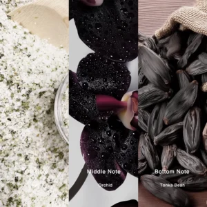 Affordable Luxury Perfumes Inspired by Designer Scents | IMIXX Perfume 93 29aa