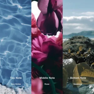 Affordable Luxury Perfumes Inspired by Designer Scents | IMIXX Perfume 15 31bb