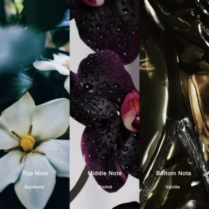 Affordable Luxury Perfumes Inspired by Designer Scents | IMIXX Perfume 117 32bb