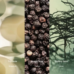 Affordable Luxury Perfumes Inspired by Designer Scents | IMIXX Perfume 95 33bb