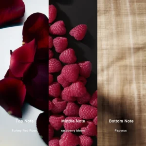 Affordable Luxury Perfumes Inspired by Designer Scents | IMIXX Perfume 59 34bb