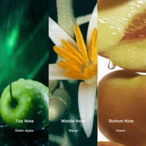 Affordable Luxury Perfumes Inspired by Designer Scents | IMIXX Perfume 17 35bb