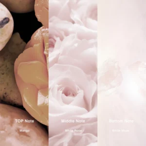 Affordable Luxury Perfumes Inspired by Designer Scents | IMIXX Perfume 27 36bb