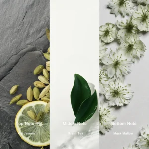 Affordable Luxury Perfumes Inspired by Designer Scents | IMIXX Perfume 115 38bb