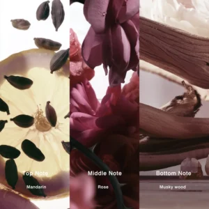 Affordable Luxury Perfumes Inspired by Designer Scents | IMIXX Perfume 89 39bb