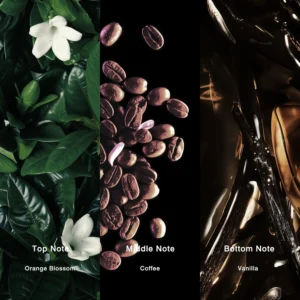 Affordable Luxury Perfumes Inspired by Designer Scents | IMIXX Perfume 129 40bb