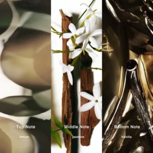 Affordable Luxury Perfumes Inspired by Designer Scents | IMIXX Perfume 107 42bb