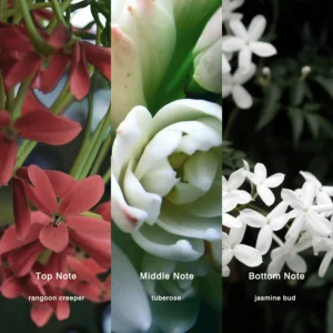 Affordable Luxury Perfumes Inspired by Designer Scents | IMIXX Perfume 121 43bb