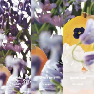 Affordable Luxury Perfumes Inspired by Designer Scents | IMIXX Perfume 25 50bb