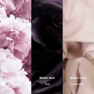 Affordable Luxury Perfumes Inspired by Designer Scents | IMIXX Perfume 81 52bb