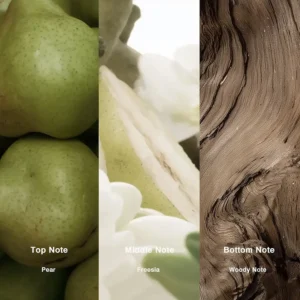 Affordable Luxury Perfumes Inspired by Designer Scents | IMIXX Perfume 75 53bb