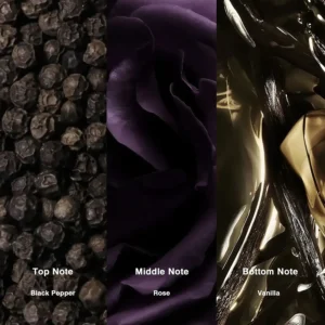 Affordable Luxury Perfumes Inspired by Designer Scents | IMIXX Perfume 49 55bb