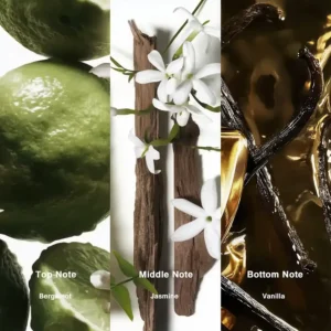 Affordable Luxury Perfumes Inspired by Designer Scents | IMIXX Perfume 21 58bb