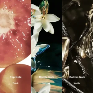 Affordable Luxury Perfumes Inspired by Designer Scents | IMIXX Perfume 87 60bb