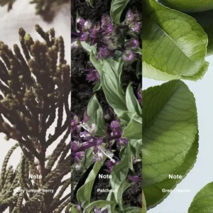 Affordable Luxury Perfumes Inspired by Designer Scents | IMIXX Perfume 47 63bb 2