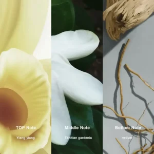 Affordable Luxury Perfumes Inspired by Designer Scents | IMIXX Perfume 41 64bb