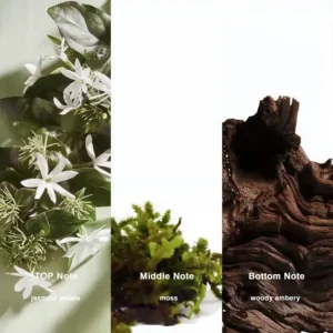 Affordable Luxury Perfumes Inspired by Designer Scents | IMIXX Perfume 63 65bb