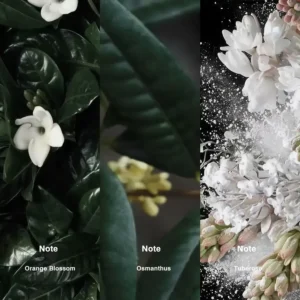 Affordable Luxury Perfumes Inspired by Designer Scents | IMIXX Perfume 39 69bb