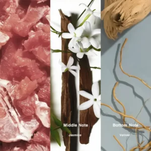 Affordable Luxury Perfumes Inspired by Designer Scents | IMIXX Perfume 31 70bb