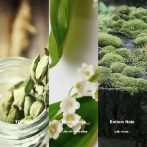 Affordable Luxury Perfumes Inspired by Designer Scents | IMIXX Perfume 33 71bb