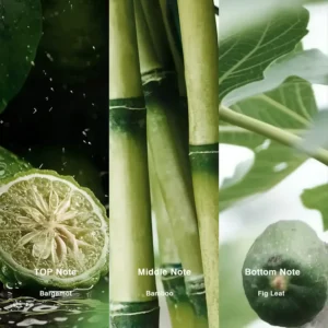 Affordable Luxury Perfumes Inspired by Designer Scents | IMIXX Perfume 61 73bb