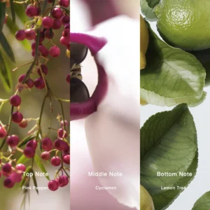 Affordable Luxury Perfumes Inspired by Designer Scents | IMIXX Perfume 85 74bb