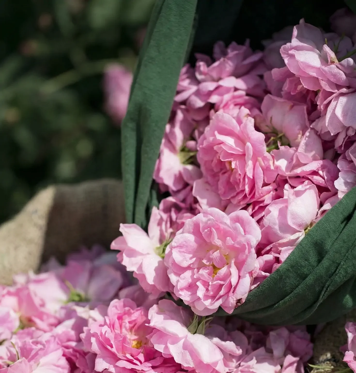 Gemini Generated Image ptpykyptpykyptpy