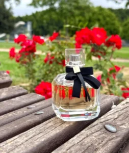 Comparison chart showing the fruity chypre scent notes and longevity differences between a traditional luxury fragrance and a direct-to-consumer perfume.
