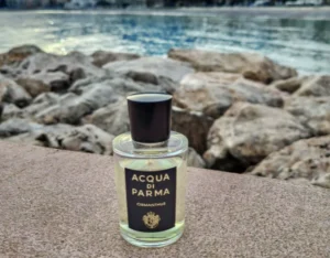 How to Find the Perfect Acqua di Parma Osmanthus Dupe: An Insider's Supply Chain Guide to Affordable Luxury Perfumes in the USA 2 Side-by-side bottle comparison of Acqua di Parma Osmanthus luxury fragrance and a high-quality affordable perfume alternative in the USA.